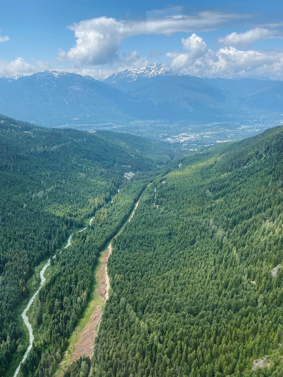 A river and a dirt road run parallel to each other through a tree covered valley between two mountains