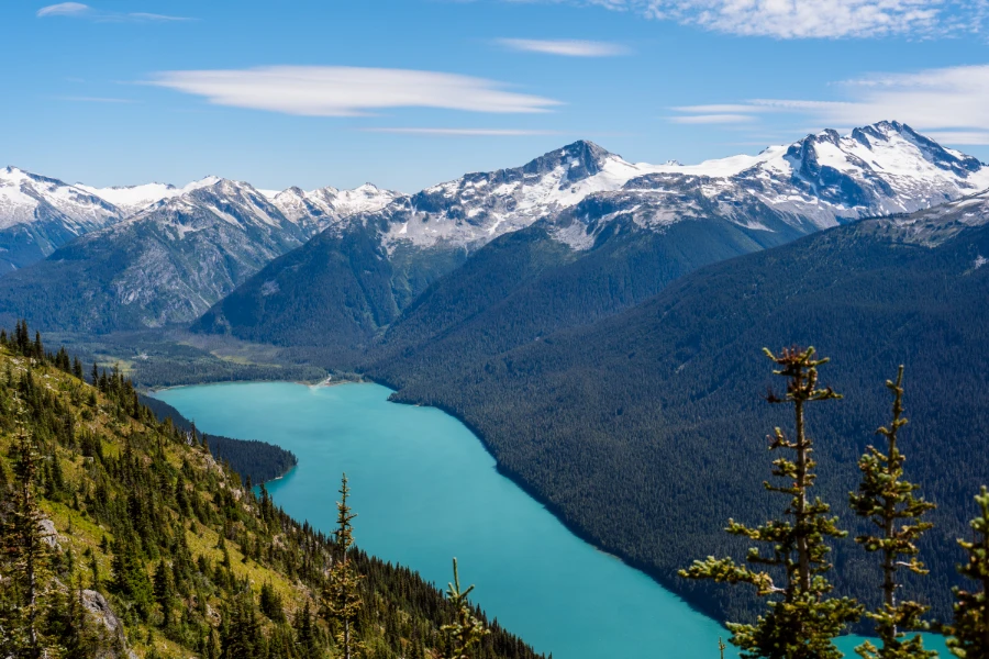 A row of trees lead down the side of a mountain towards a bright blue lake that fills the entire valley below with more mountains behind