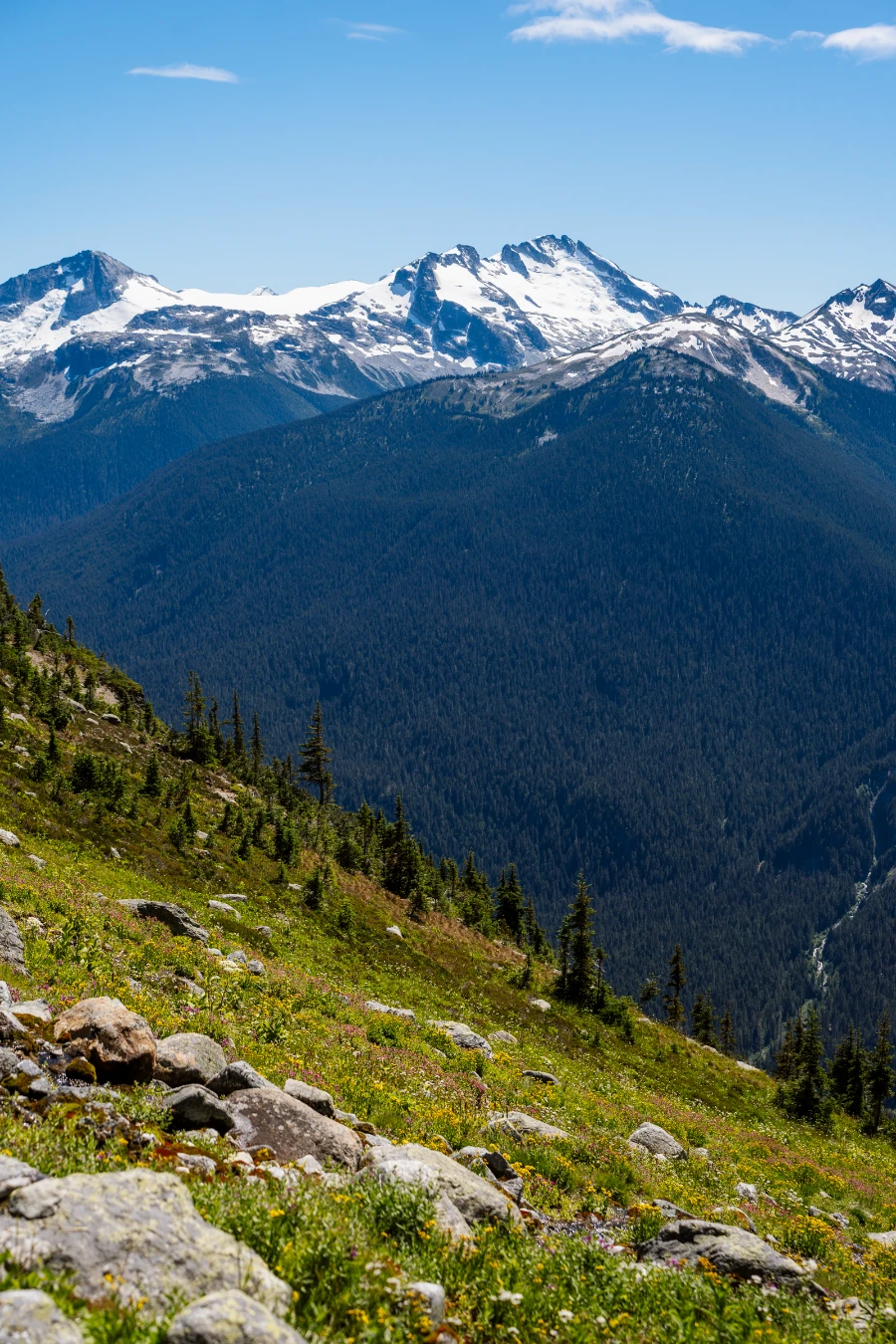 Image related to whistler summer gondola