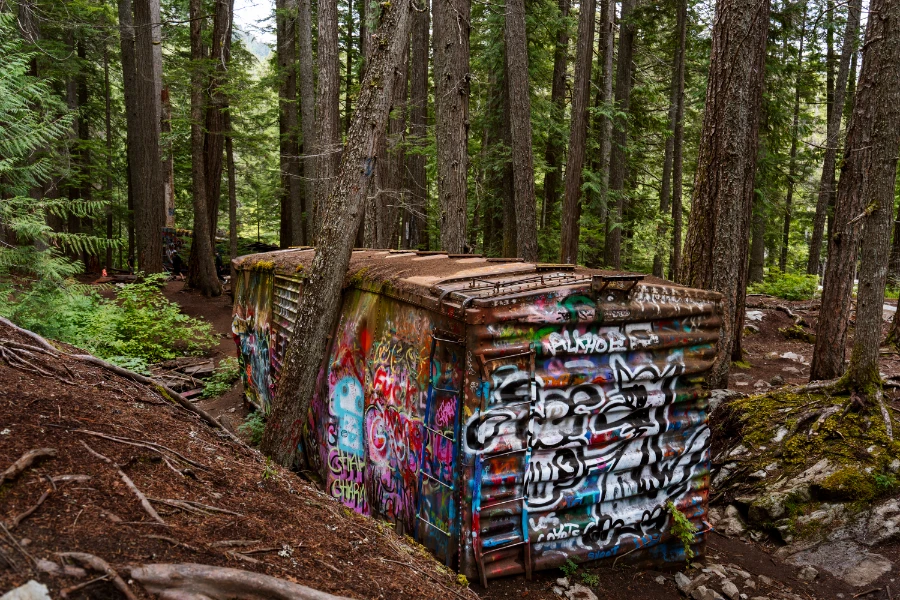 An abandoned and rusty rail box-car covered in graffiti and surrounded by lush forest
